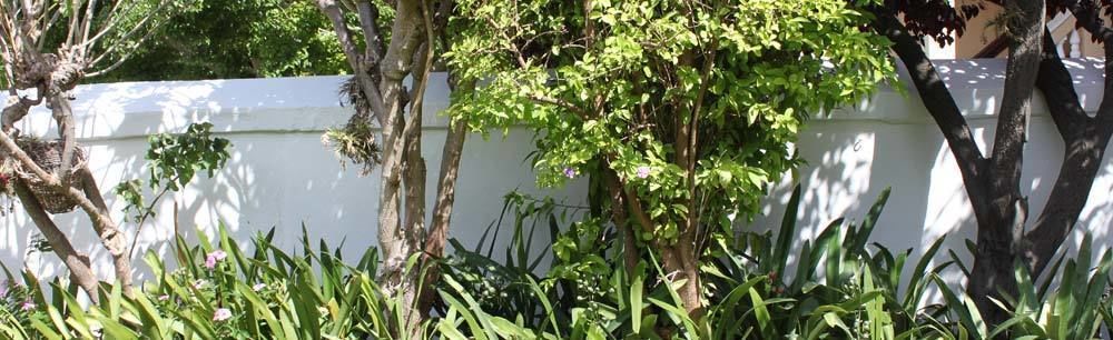Number5 Guesthouse Guest house Cape Town